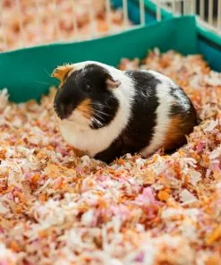 Frisco Small Pet Bedding, Multi-Colored, 56-L -The Frisco Store 263930 PT5. SY630 V1625586911