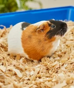 Frisco Aspen Wood Small Pet Bedding, 141-L -The Frisco Store 263936 PT5. SY630 V1625586334