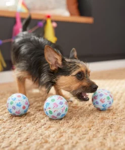Frisco Birthday Tennis Ball Squeaky Dog Toy, 3 count -The Frisco Store 264419 PT3. SY630 V1619474144