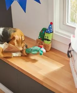 Frisco Birthday Cactus Plush Squeaky Dog Toy, 3 count -The Frisco Store 264426 PT3. SY630 V1619474032