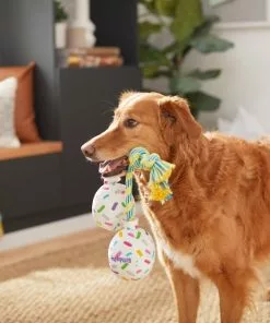 Frisco Birthday Balloon Bouquet Plush with Rope Squeaky Dog Toy -The Frisco Store 264440 PT3. SY630 V1619474100