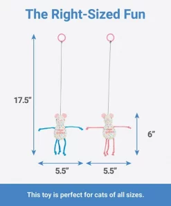 Frisco Birthday Bouncy Mouse Cat Toy, 2 count -The Frisco Store 264450 PT1. SY630 V1623698247