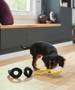 Frisco Magic Pocket Watch & Glasses Plush Squeaky Dog Toy, 2 count -The Frisco Store 265590 PT3. SY630 V1620938935