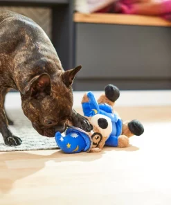 Frisco Magic Wizard Bear Plush Squeaky Dog Toy -The Frisco Store 265604 PT3. SY630 V1623352109