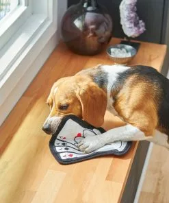 Frisco Magic Lucky Aces Flat Plush Squeaky Dog Toy 9 Frisco Magic Lucky Aces Flat Plush Squeaky Dog Toy -The Frisco Store 265612 PT3. SY630 V1620938989