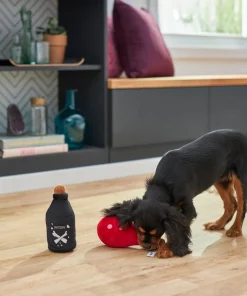 Frisco Magic Potions Plush Squeaky Dog Toy -The Frisco Store 265618 PT3. SY630 V1620939183