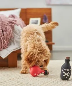 Frisco Magic Potions Latex Squeaky Dog Toy, 2 count -The Frisco Store 265632 PT3. SY630 V1620939021