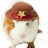 Frisco Cowboy Guinea Pig Costume Hat, One Size -The Frisco Store 265889 MAIN. SY630 V1624414662