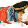 Frisco Serape Guinea Pig Costume, One Size