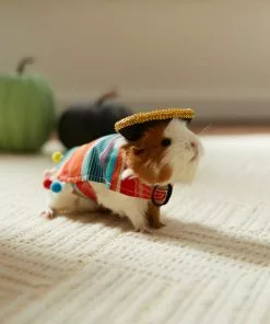Frisco Serape Guinea Pig Costume, One Size -The Frisco Store 265895 PT8. SY630 V1624341275