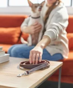 Frisco Top Grain Leather Leash -The Frisco Store 266521 PT3. SY630 V1619536628