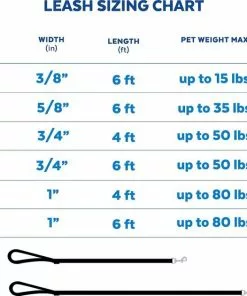 Frisco Traffic Leash with Padded Handles & Poop Bag Dispenser -The Frisco Store 266783 PT6. SY630 V1630006624