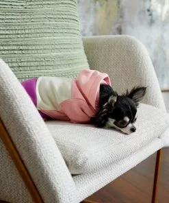 Frisco Colorblock Dog & Cat Hoodie with Sleeves -The Frisco Store 267963 PT6. SY630 V1637683593