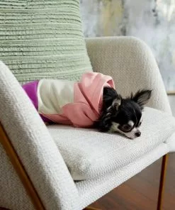 Frisco Colorblock Dog & Cat Hoodie with Sleeves -The Frisco Store 267963 PT8. SY630 V1629767757