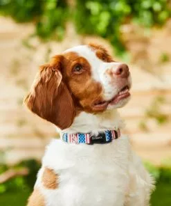 Frisco Americana Dog Collar -The Frisco Store 269430 PT3. SY630 V1619535733