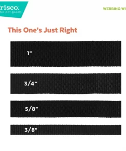 Frisco American Flag Cat Collar, 8-12 Inches -The Frisco Store 269492 PT6. SY630 V1629992481