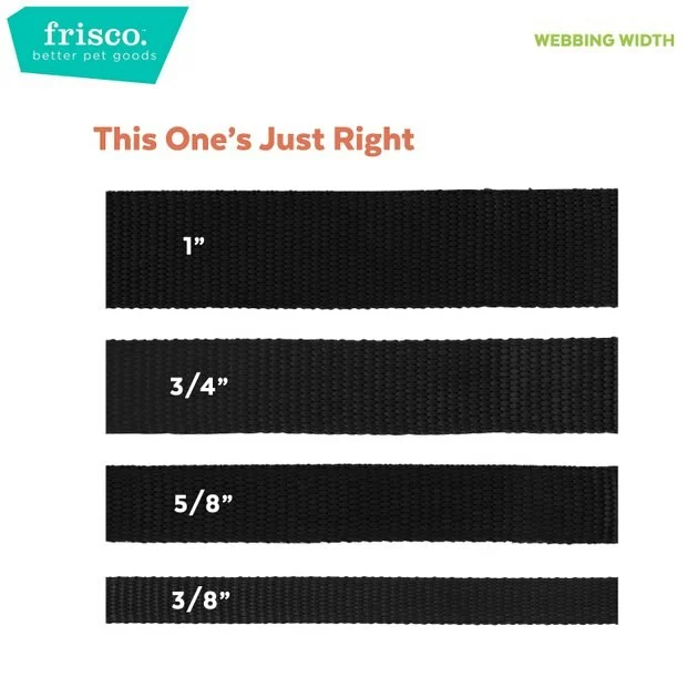 Frisco Spring Reef Life Collar, 8-12 Inches 7 Frisco Spring Reef Life Collar, 8-12 Inches - Image 5