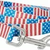 Frisco Americana Dog Leash -The Frisco Store 269502 MAIN. SY630 V1619536062