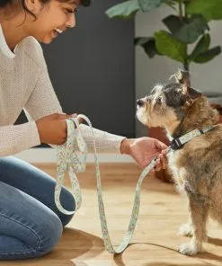 Frisco Ice Cream Party Dog Leash -The Frisco Store 269549 PT3. SY630 V1619537401