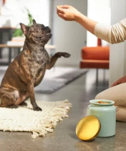 Frisco Modern Gold Rim Ceramic Treat Jar, 5 Cups 8 Frisco Modern Gold Rim Ceramic Treat Jar, 5 Cups -The Frisco Store 270182 PT2. SY630 V1620761610