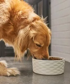 Frisco Geometric Non-skid Ceramic Dog Bowl 10 Frisco Geometric Non-skid Ceramic Dog Bowl -The Frisco Store 270224 PT2. SY630 V1620762188