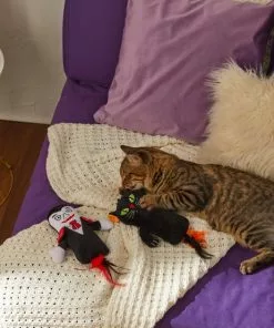 Frisco Vampire & Black Cat Plush Kicker Cat Toy with Catnip, 2 count -The Frisco Store 270307 PT3. SY630 V1624817053