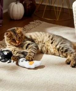 Frisco Halloween Spider & Ghost Plush Cat Toy with Catnip, 2 count -The Frisco Store 270315 PT3. SY630 V1624817028
