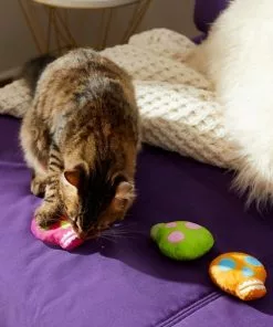 Frisco Colorful Skulls Plush Cat Toy with Catnip, 3 count -The Frisco Store 270325 PT3. SY630 V1630350992