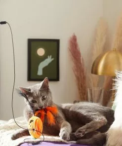 Frisco Halloween Teaser Wand Cat Toy with Catnip, 3 count 8 Frisco Halloween Teaser Wand Cat Toy with Catnip, 3 count -The Frisco Store 270341 PT3. SY630 V1624817557