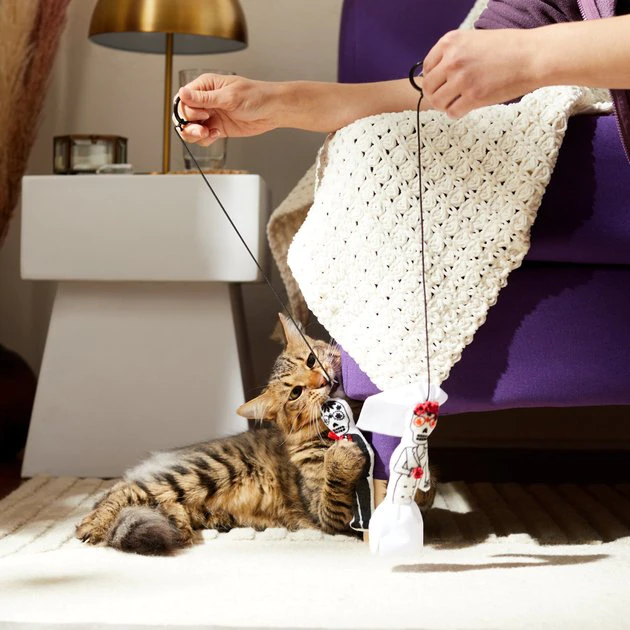 Frisco Sugar Skull Bride & Groom Bouncy Cat Toy with Catnip, 2 count 5 Frisco Sugar Skull Bride & Groom Bouncy Cat Toy with Catnip, 2 count - Image 3