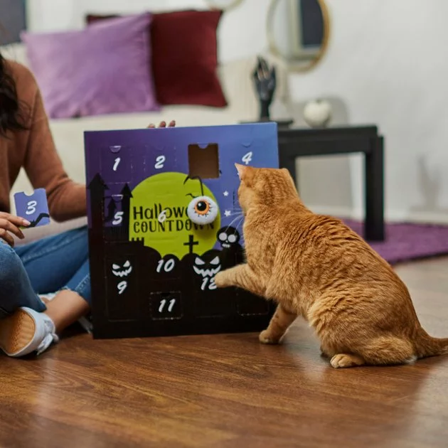 Frisco Halloween 13 Day Advent Calendar with Toys for Cats 6 Frisco Halloween 13 Day Advent Calendar with Toys for Cats - Image 4