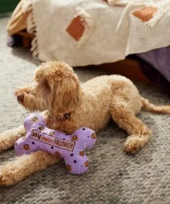 Frisco Halloween My First Halloween Bone Reversible Plush Squeaky Dog Toy -The Frisco Store 270452 PT3. SY630 V1624817314