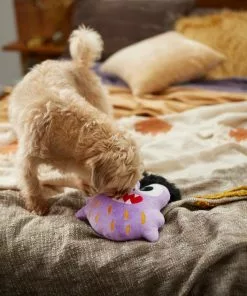 Frisco Friendly Monster Round Plush Squeaky Dog Toy -The Frisco Store 270468 PT3. SY630 V1624817404