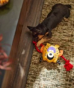 Frisco Friendly Monster Plush with Rope Squeaky Dog Toy -The Frisco Store 270474 PT3. SY630 V1624824917