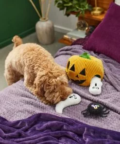 Frisco Halloween Jack-o-Lantern Hide & Seek Puzzle Plush Squeaky Dog Toy -The Frisco Store 270492 PT3. SY630 V1624817005