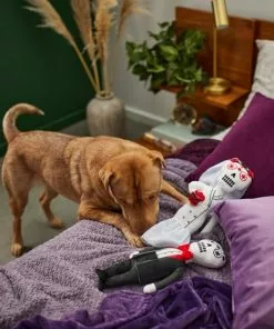 Frisco Sugar Skull Bride & Groom Plush Squeaky Dog Toy, 2 count -The Frisco Store 270498 PT3. SY630 V1624817356