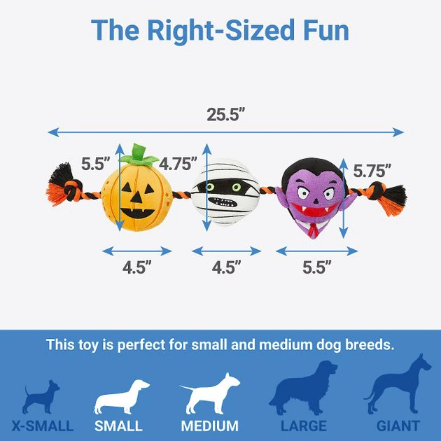 Frisco Halloween Haunted Friends Plush with Rope Squeaky Dog Toy 4 Frisco Halloween Haunted Friends Plush with Rope Squeaky Dog Toy - Image 2