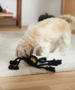 Frisco Halloween Spider Rope Dog Toy -The Frisco Store 270504 PT3. SY630 V1624825021