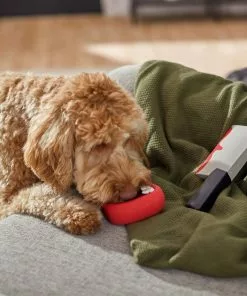 Frisco Halloween Vampire Teeth & Knife Latex Squeaky Dog Toy, 2 count -The Frisco Store 270512 PT3. SY630 V1624817093