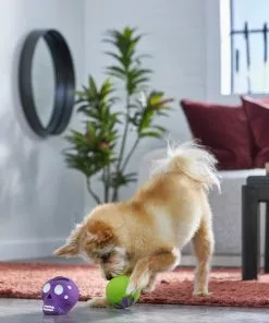 Frisco Halloween Sugar Skulls Latex Squeaky Dog Toy, 2 count -The Frisco Store 270518 PT3. SY630 V1624825050