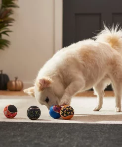 Frisco Halloween Glow in the Dark Fetch Squeaky Tennis Ball Dog Toy, 4 count -The Frisco Store 270525 PT3. SY630 V1624824980