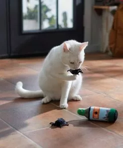 Frisco Camping Bug Spray Plush Cat Toy with Catnip, 3 count -The Frisco Store 270969 PT3. SY630 V1625009346