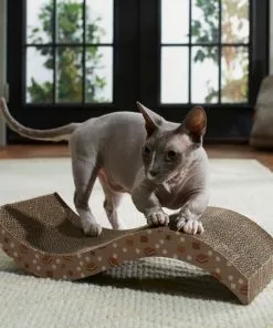 Frisco Camping S'mores Wave Cat Scratcher Cat Toy -The Frisco Store 270979 PT3. SY630 V1625009125