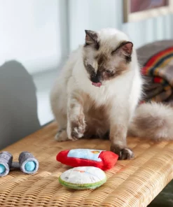 Frisco Camping Compass & Lantern Plush Cat Toy with Catnip, 2 count -The Frisco Store 270985 PT3. SY630 V1625009053