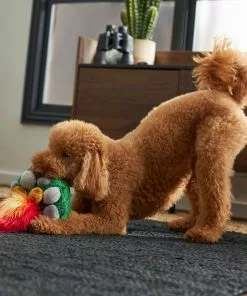 Frisco Camping Campfire Plush Squeaky Dog Toy -The Frisco Store 270987 PT3. SY630 V1625009045