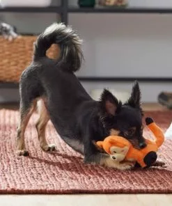 Frisco Camping Fox Plush Squeaky Dog Toy -The Frisco Store 270993 PT3. SY630 V1625008975