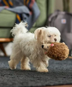 Frisco Camping Hedgehog Plush Squeaky Dog Toy -The Frisco Store 270995 PT3. SY630 V1625009251
