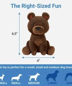 Frisco Camping Bear Plush Squeaky Dog Toy -The Frisco Store 270999 PT1. SY630 V1626368495