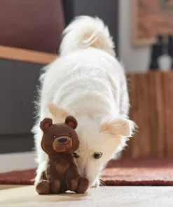 Frisco Camping Bear Plush Squeaky Dog Toy -The Frisco Store 270999 PT3. SY630 V1625009284