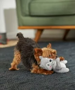 Frisco Camping Squirrel Plush Squeaky Dog Toy -The Frisco Store 271001 PT3. SY630 V1625009206